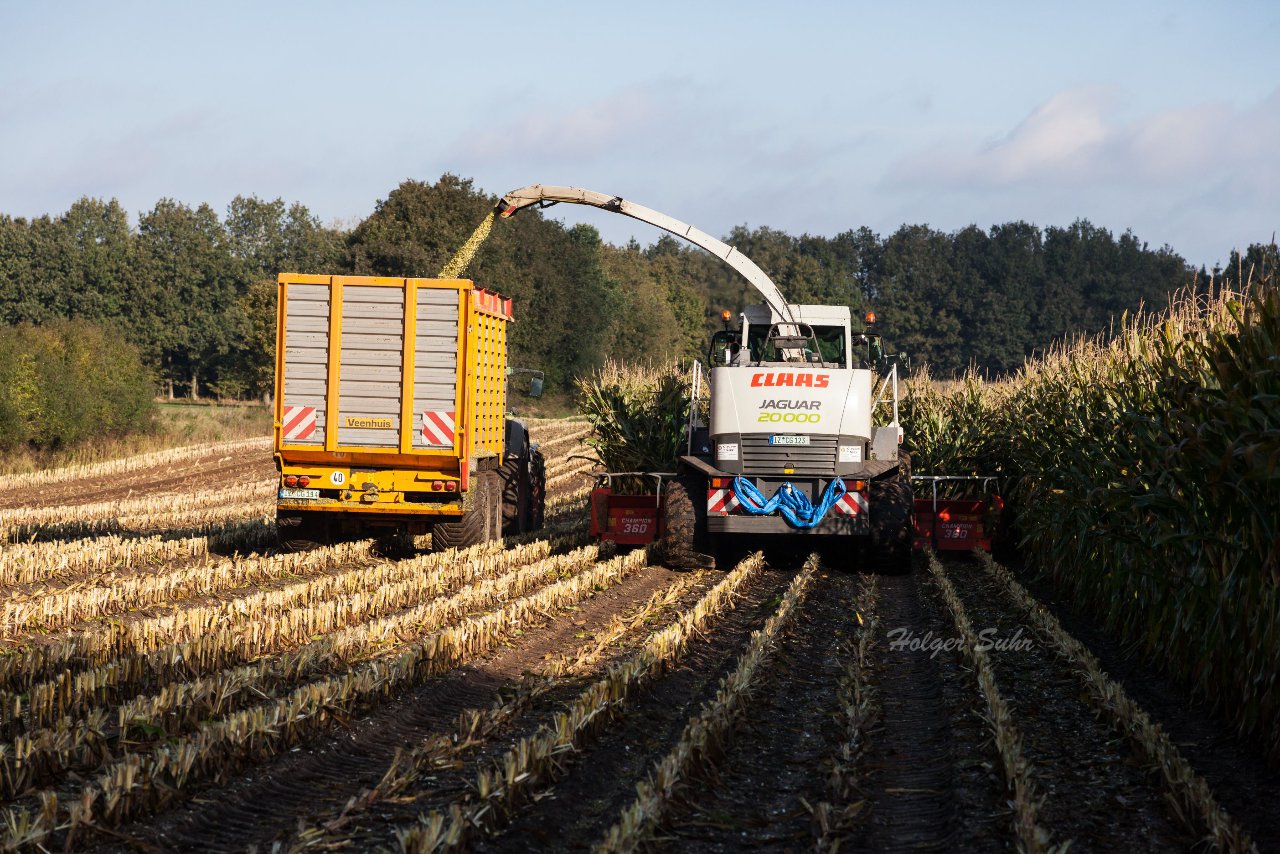 Bild 50 - Maisernte am 11.10.12